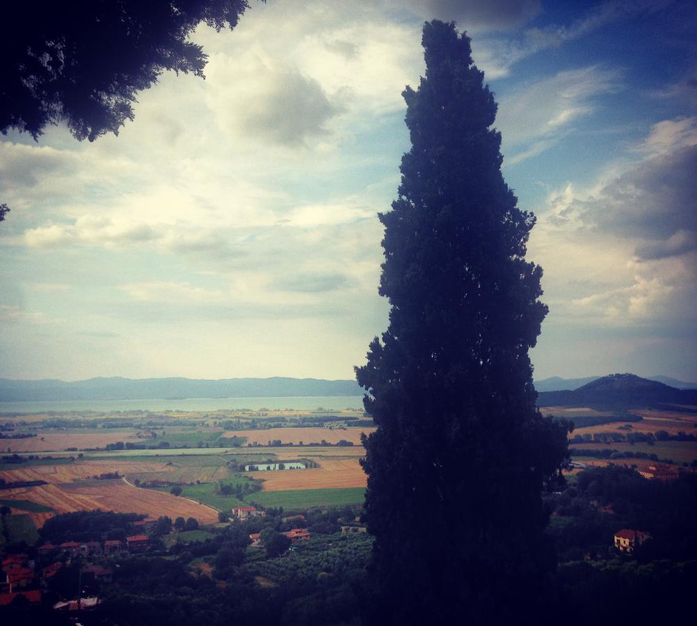 Il Vecchio Frantoio Villa Panicale Dış mekan fotoğraf