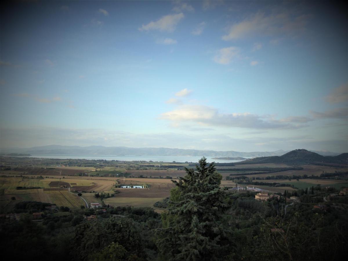 Il Vecchio Frantoio Villa Panicale Dış mekan fotoğraf