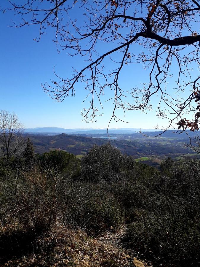 Il Vecchio Frantoio Villa Panicale Dış mekan fotoğraf