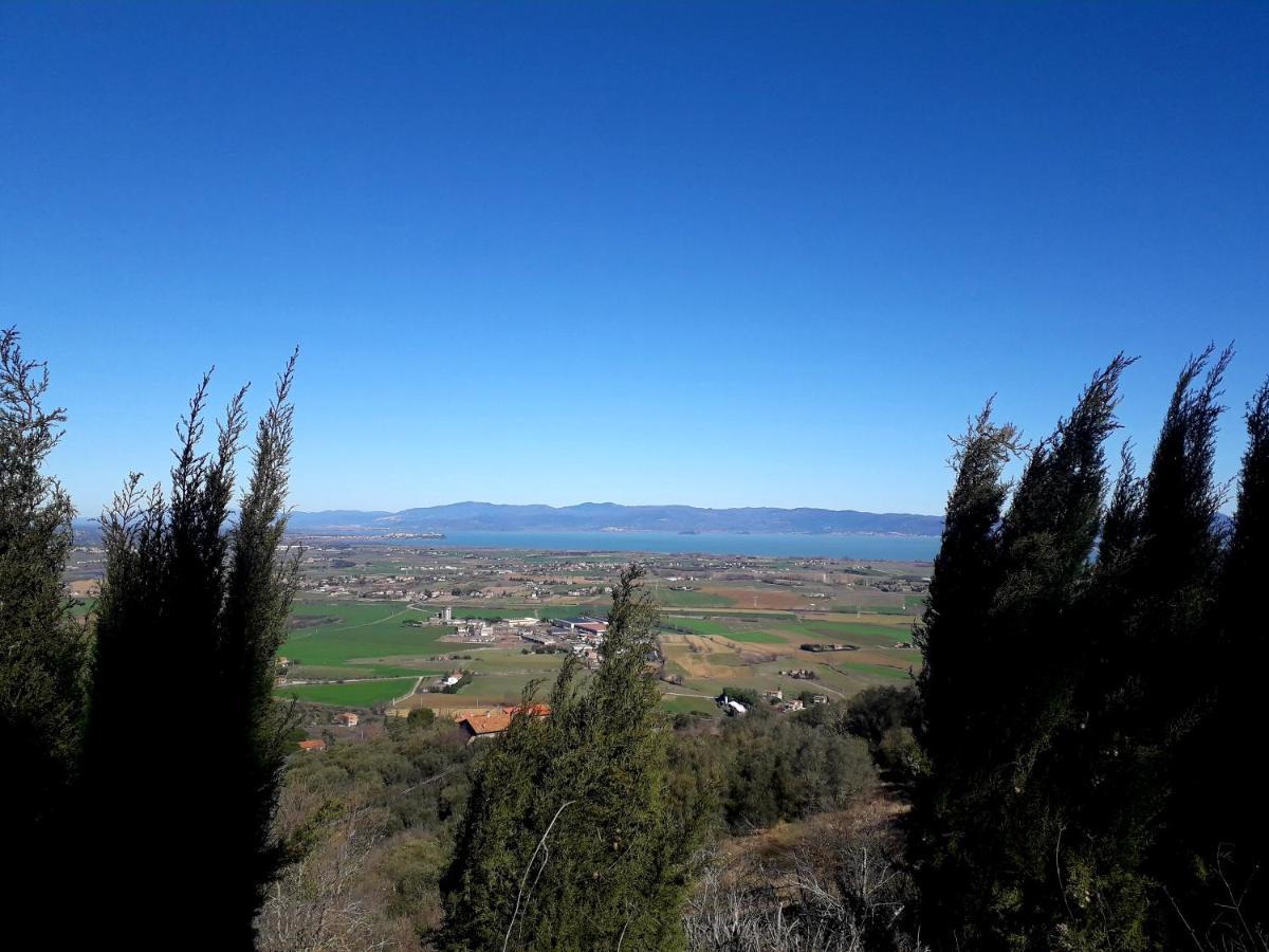 Il Vecchio Frantoio Villa Panicale Dış mekan fotoğraf